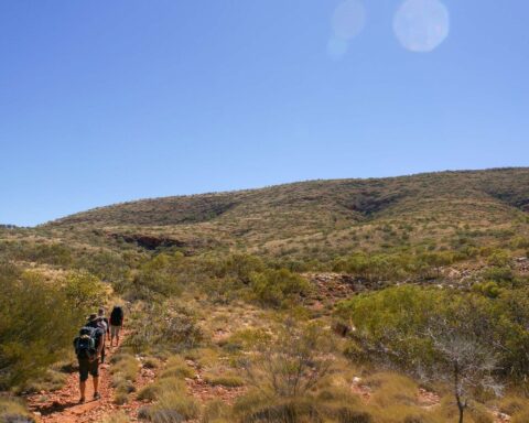 Top Walking Highlights in Alice Springs
