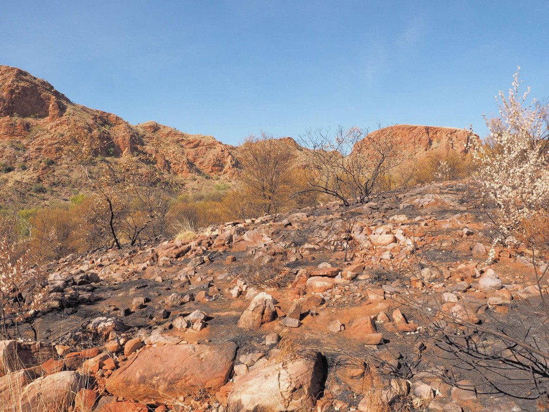 East MacDonnell Ranges
