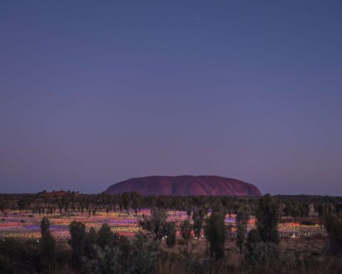 Field of Light Uluru